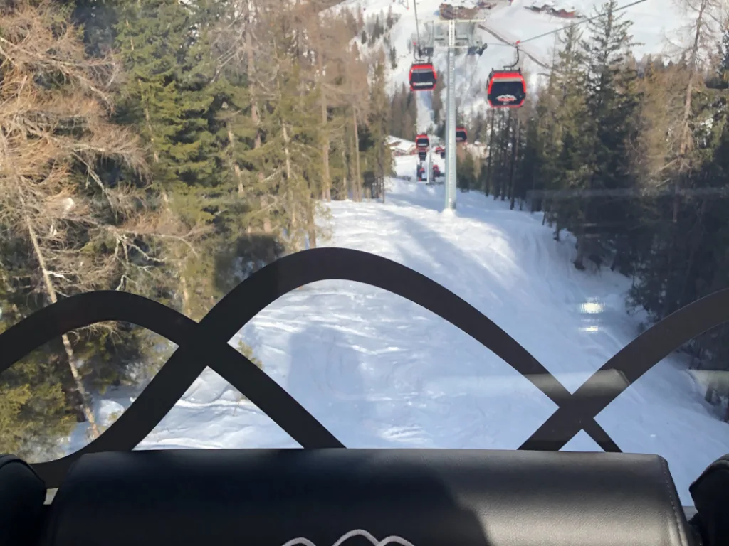 Blick von der Rodelbahn auf die Waldschneise.